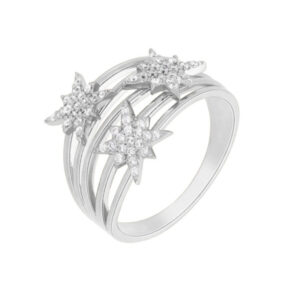 Anillo estrella polar